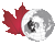 Canadian IPY Logo