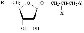 Structure of arsenosugar
