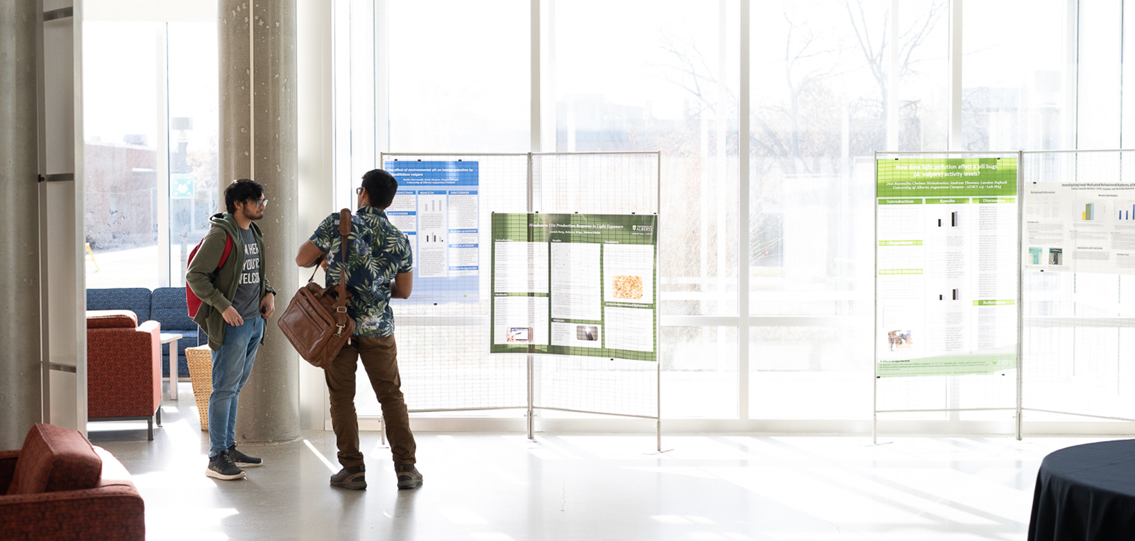 Two people standing in front of a research poster and chatting.