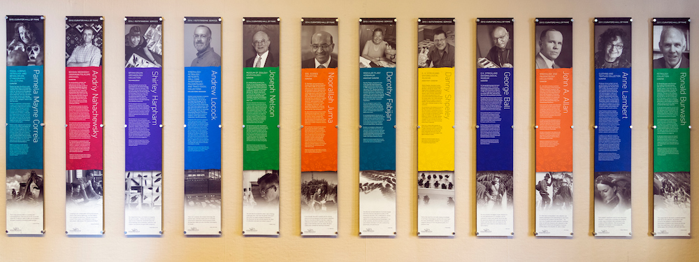 A row of elongated, colourful, plaques celebrating curators and staff in the Hall of Fame