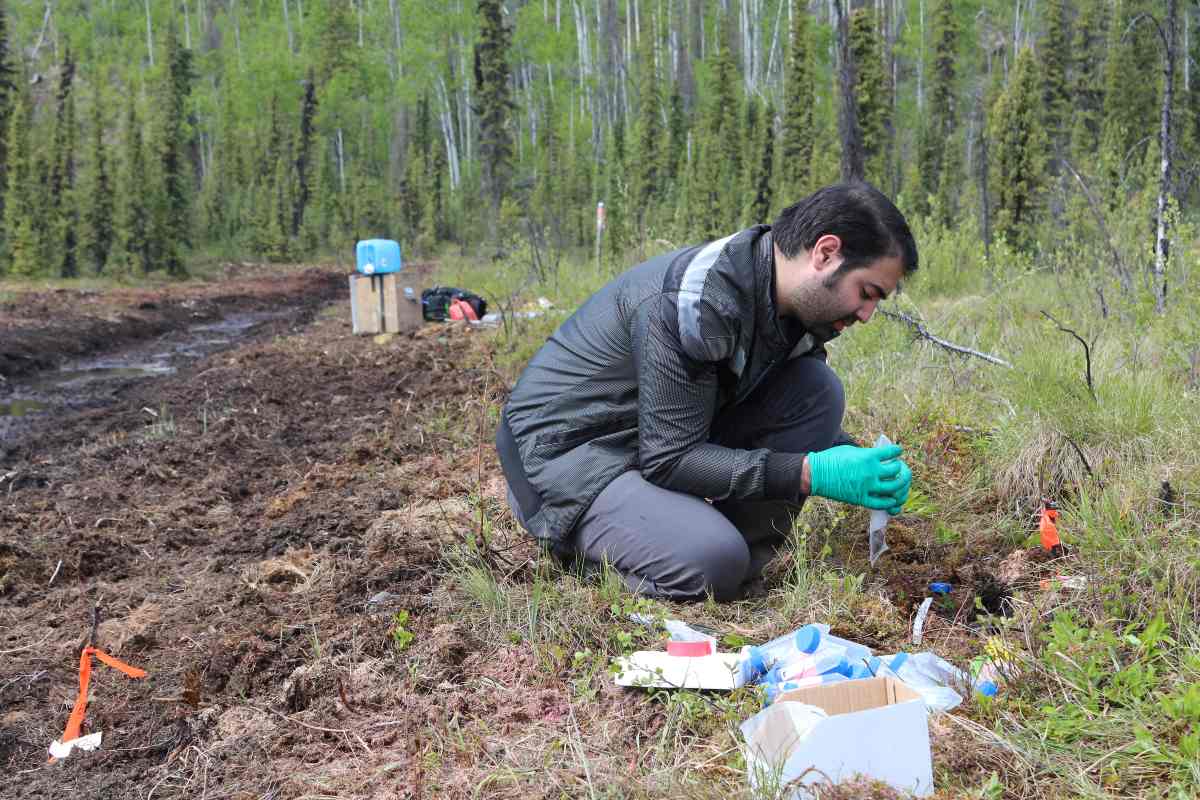 PhD student Alireza Saidi-Mehrabad is pictured here in doing field work, collecting samples used in the paper.