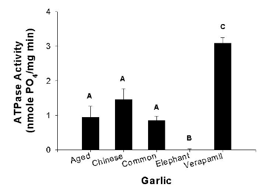 The effects of aqueous extracts from aged garlic capsules and the 3 fresh 