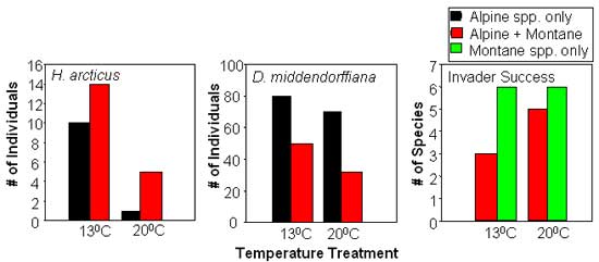 Water Warming Experiment: Numbers of D. middendorffiana and H. arcticus before and after warming