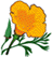 Easy Banner for my forum Orange-flower