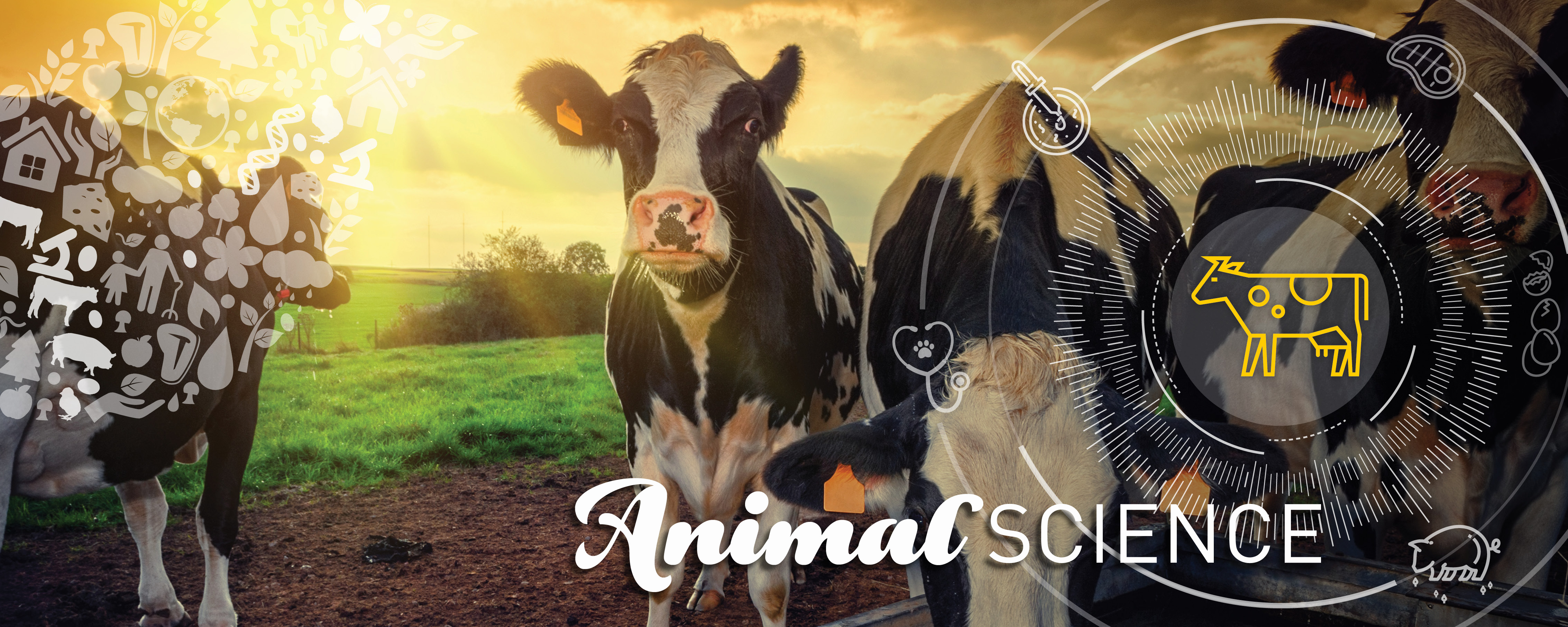 Animal Science | Agricultural, Food & Nutritional Science