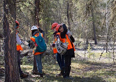 people conducting studies in a forest