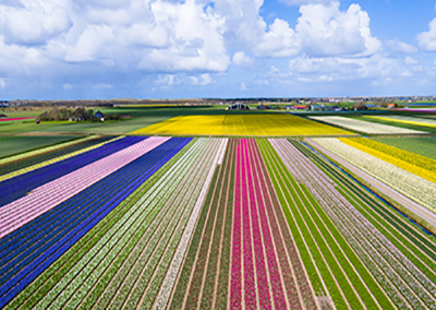 arial view of colorful prairie fields