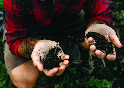 hands digging in soil