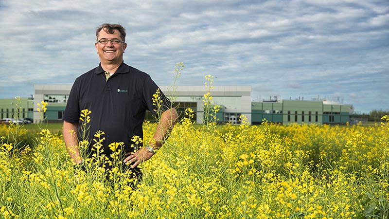 Dean Stan Blade poses in a field of yellow petaled plants