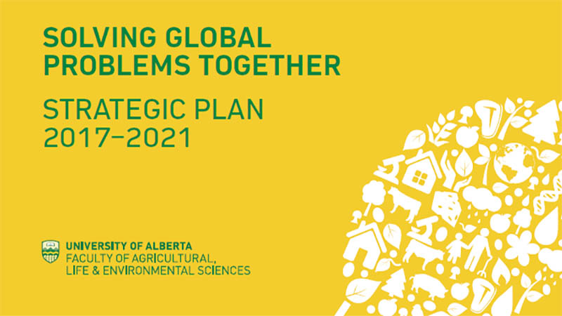 Text reads Solving Global Problems Together - Strategic Plan 2017-2021