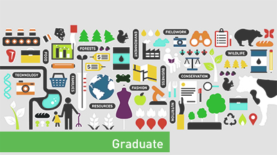 Graduate Programs Icon