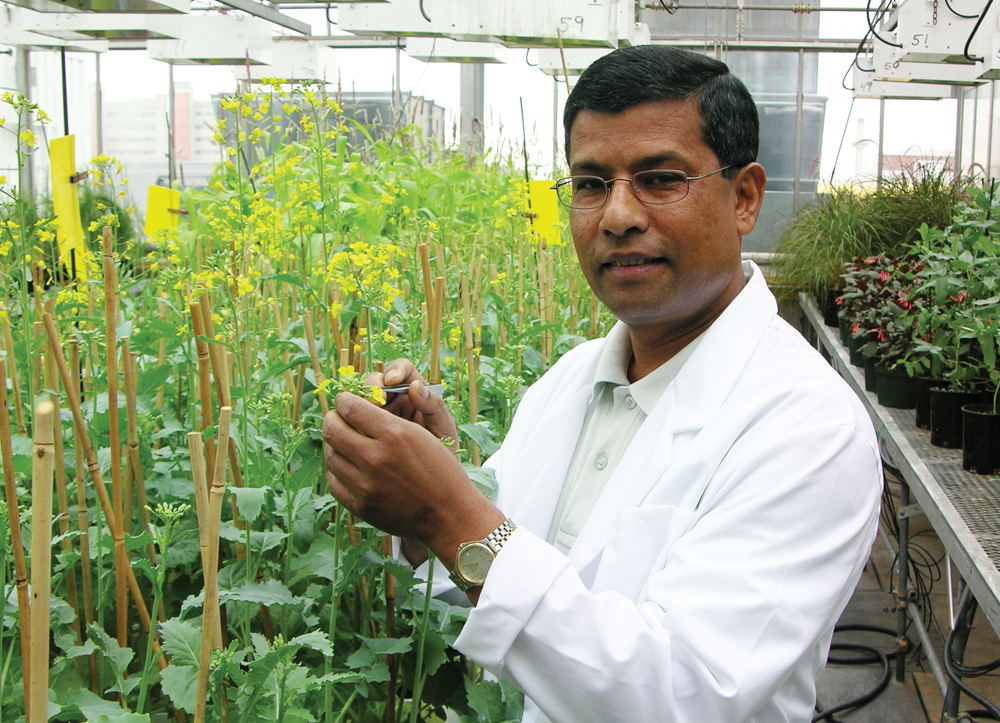 Crop scientist Habibur Rahman