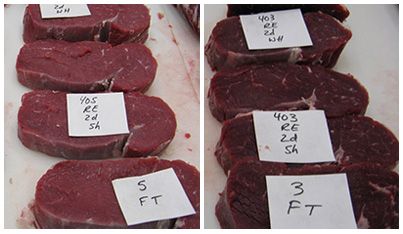 Cuts of bright red-coloured beef are lined up in left side photo and in right side photo similar sized cuts of beef that are considered dark cutting are a darker purplish colour 