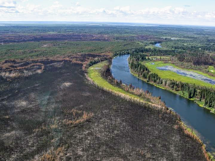 Aerial view of burned stand of forest on left of Jackfish River, Wood Buffalo National Park. 