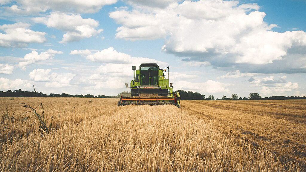 Photo of a field of wheat half harvested as the combine works through it