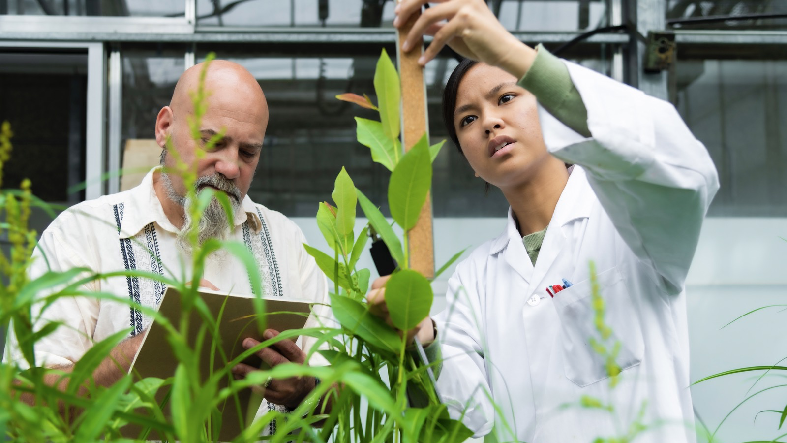 Two researchers in a lab measuring plant growth. One has a ruler and is measuring the plant, the other has a clipboard.