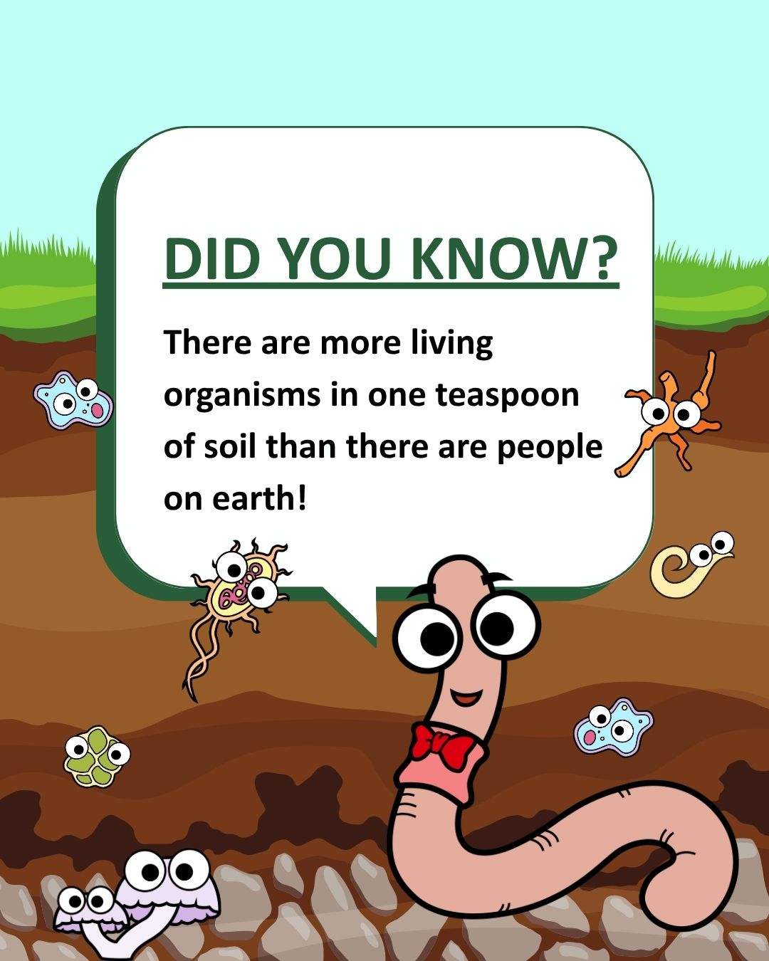 Walter the worm