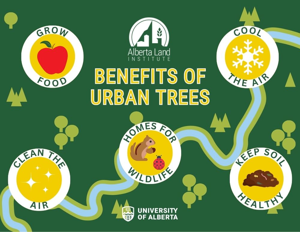 Facts about urban trees