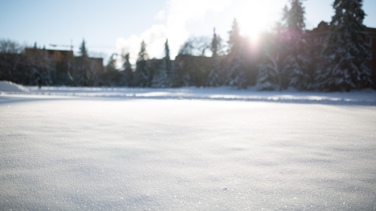 An artistic image of a field of snow. The image is crisply focused at the bottom and the trees and builidings in the distance are intentionally out of focus.