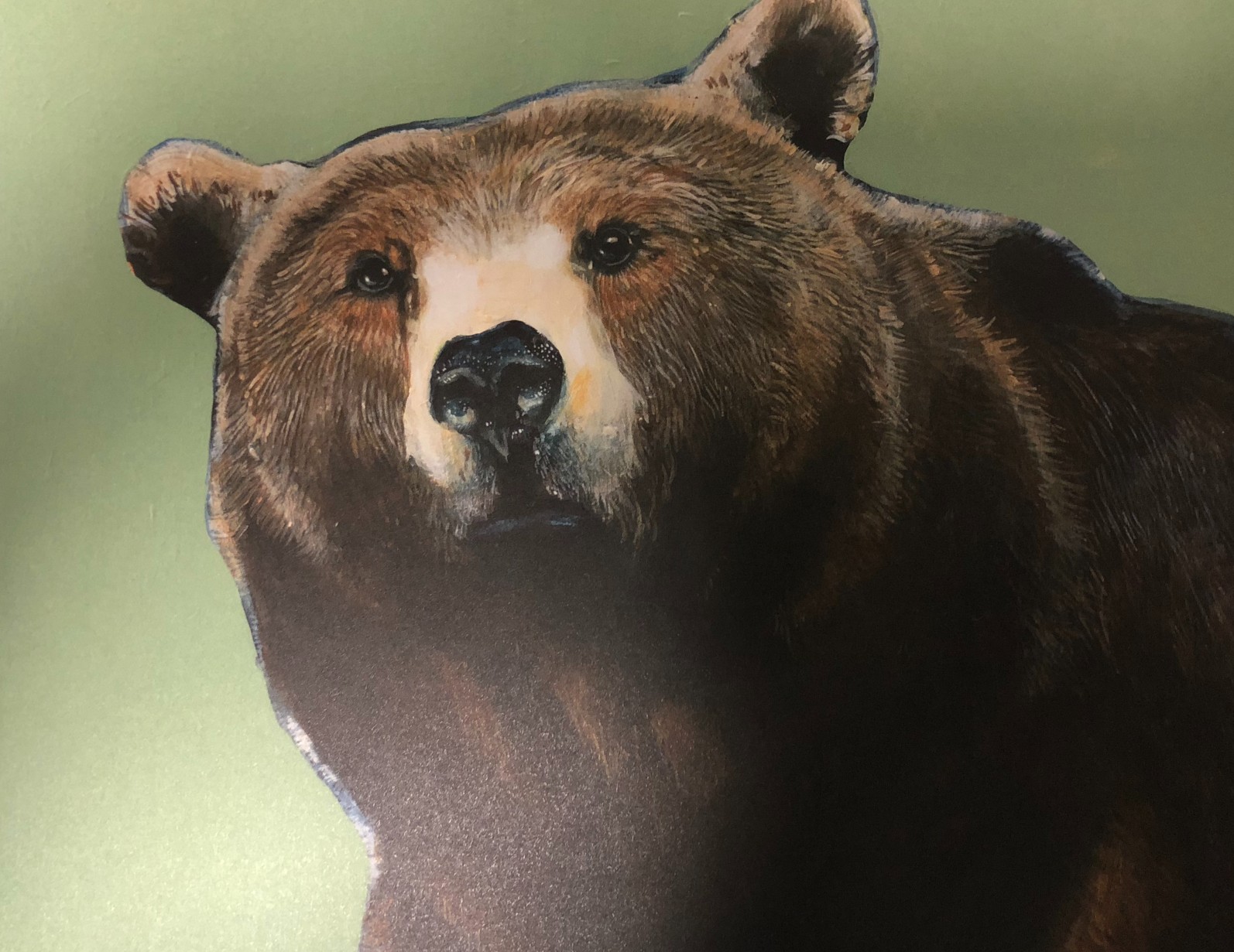 Bear Portrait, Brad Burns 2016 