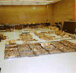 Tory Archaeology Lab 1966 U of A, Dept of Anthropology, Tory Archaeology Lab 1966