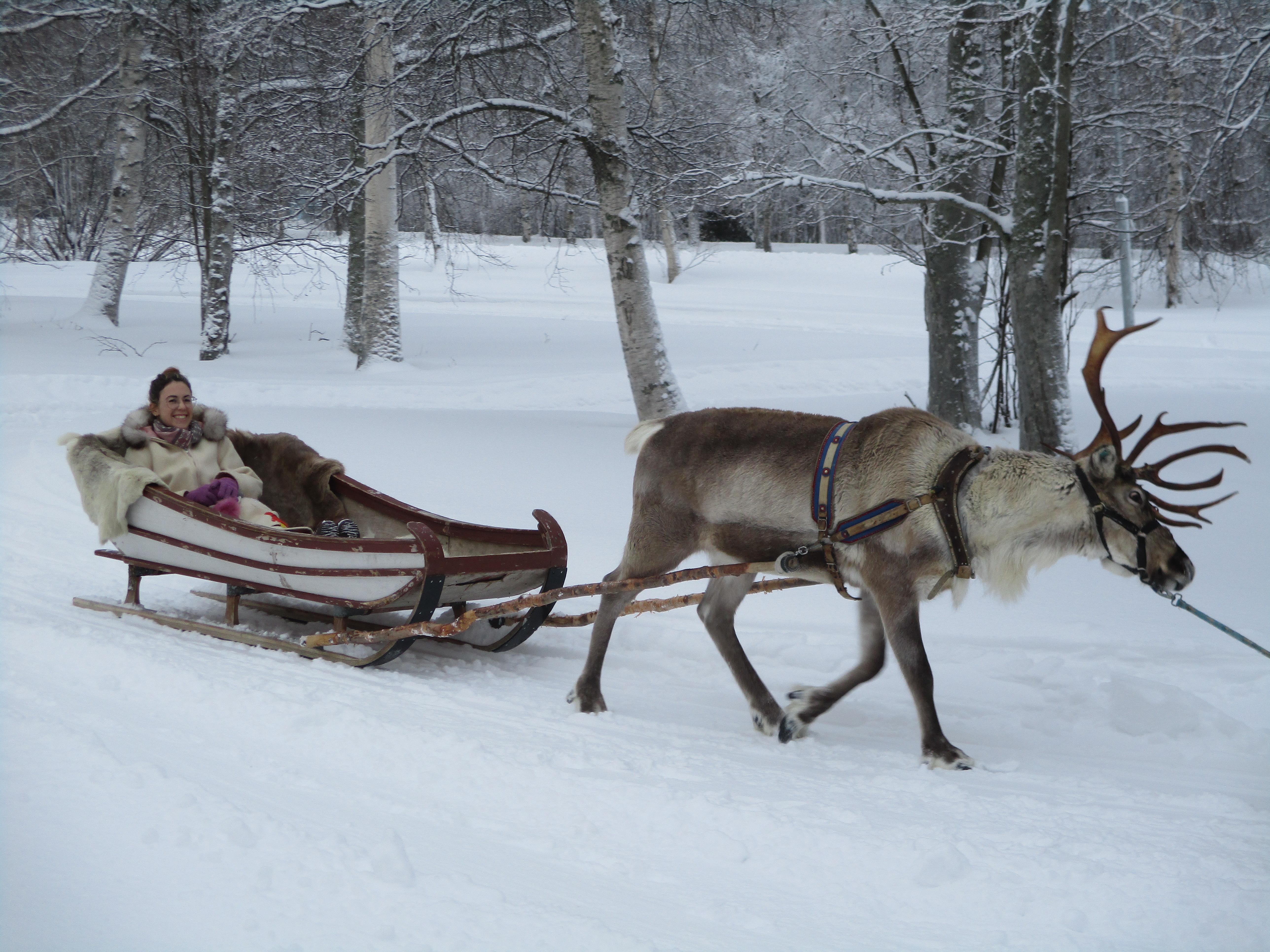 emily-hull-with-reindeer.jpg