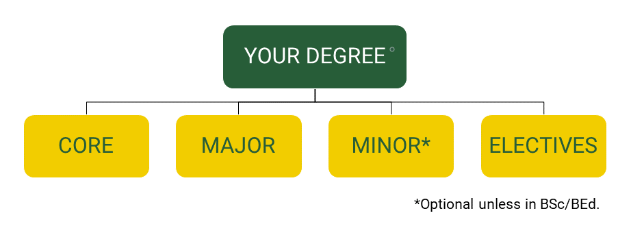 your-degree-cropped.png