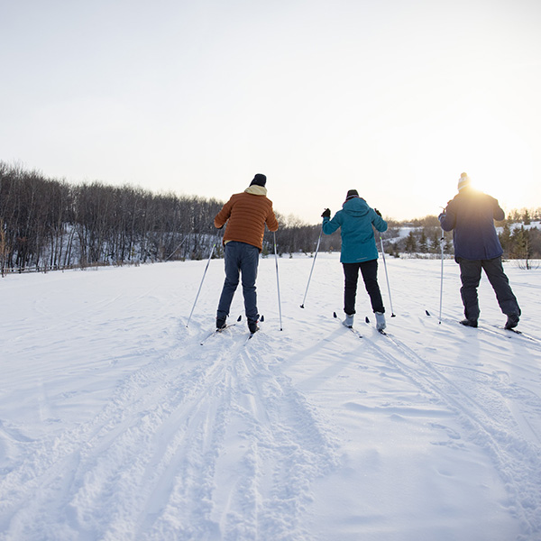 Three people cross-country skiing
