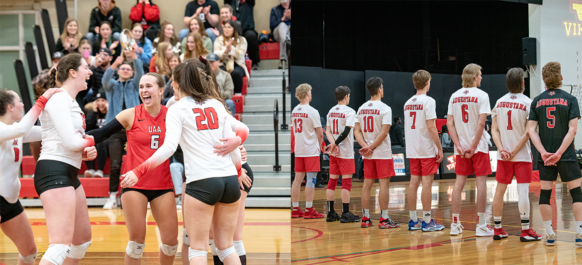 On one side are Vikings women's volleyball team members celebrating. On the other side is a the backs of Vikings men's volleyball team members as they are lined up at a volleyball net.