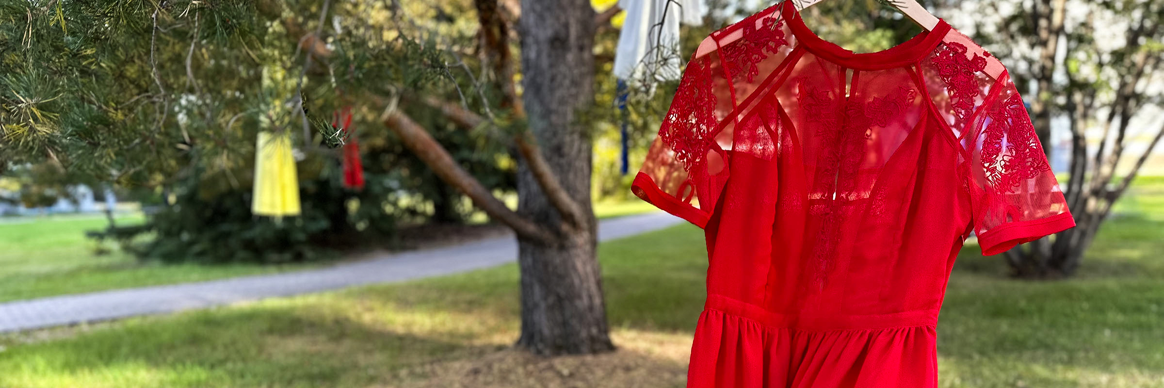 A red dress hanging from a tree and blowing in the wind.