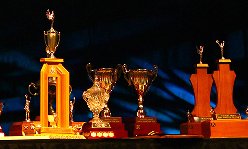 Various trophies on a table against a black backdrop.