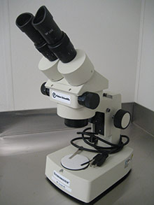 A dissecting scope