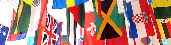 A photo of flags representing Augustana's international student body