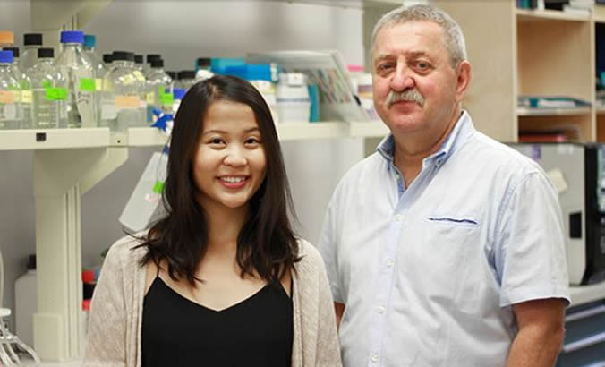 UAlberta and McGill scientists uncover a hidden calcium cholesterol connection