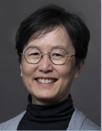 Dr. Ing Swie Goping