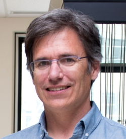 Dr. Mark Glover, Professor and Chair