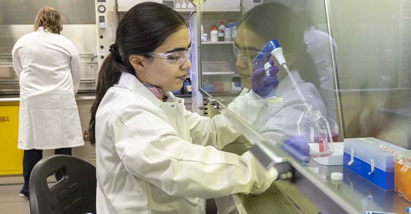 A student in the combined MD/PhD program works in a lab.