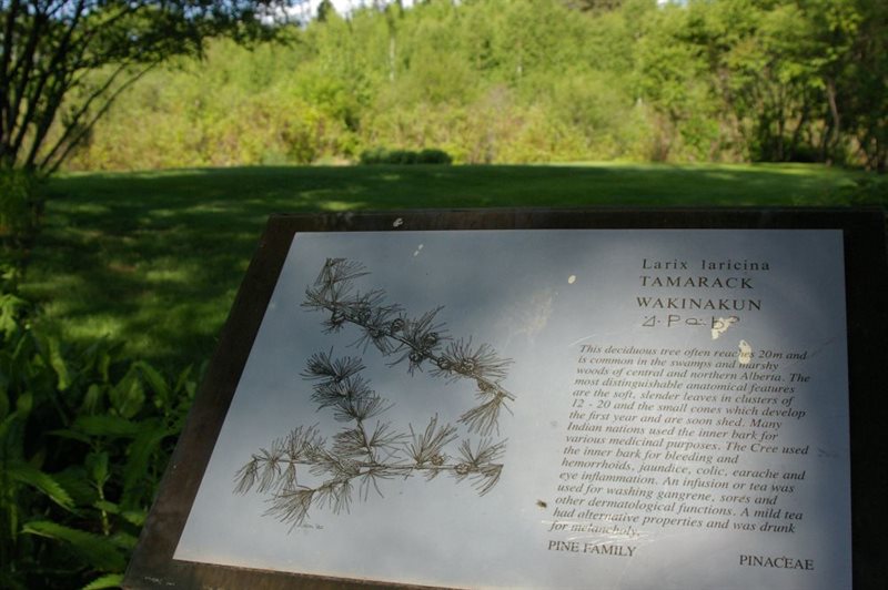 Image of a plant sign in the Indigenous Garden