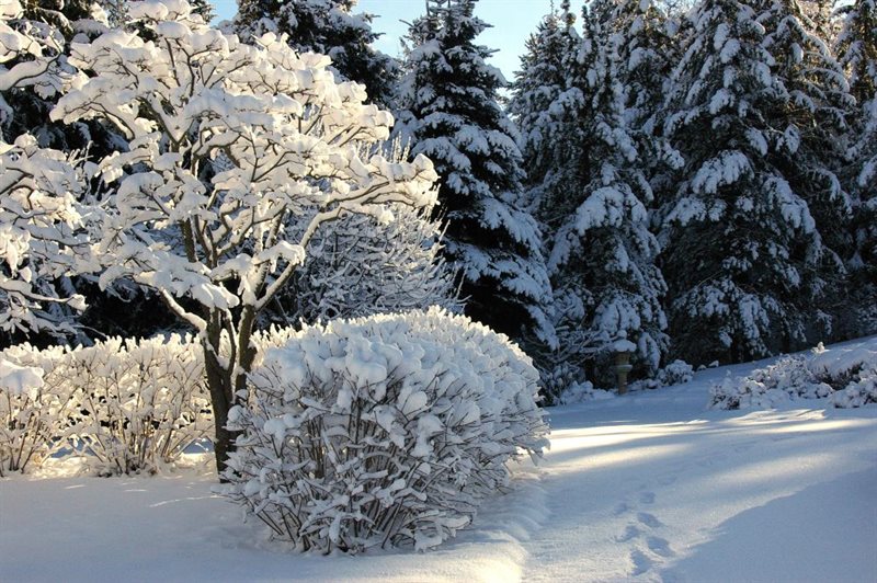 Kurimoto Japanese Garden in Winter with snow.