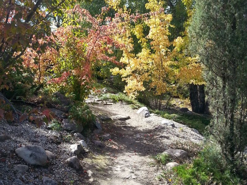 Fall in the Patrick Seymour Alpine Garden