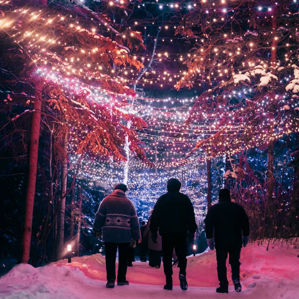 Luminaria UABG people walking under bright christmas lights. The snow is purplish from the lights