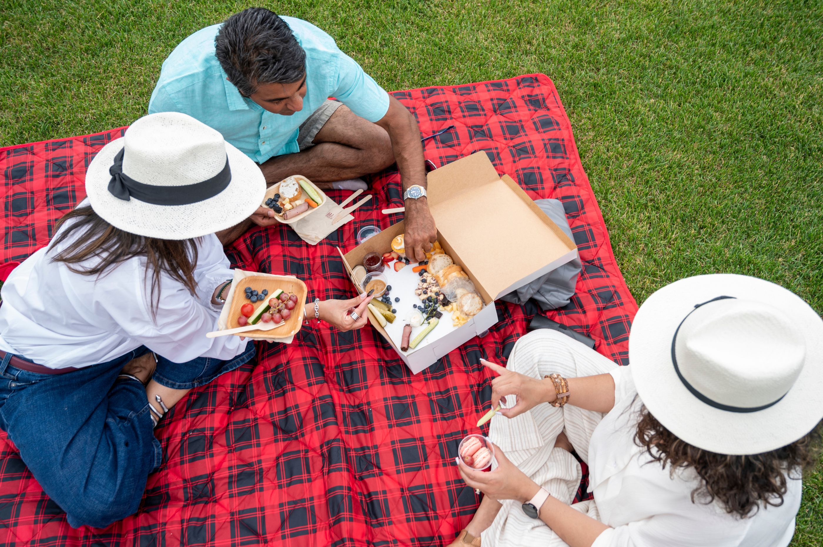 a group of people at the U of A Botanic Garden enjoying a picnic at twilight