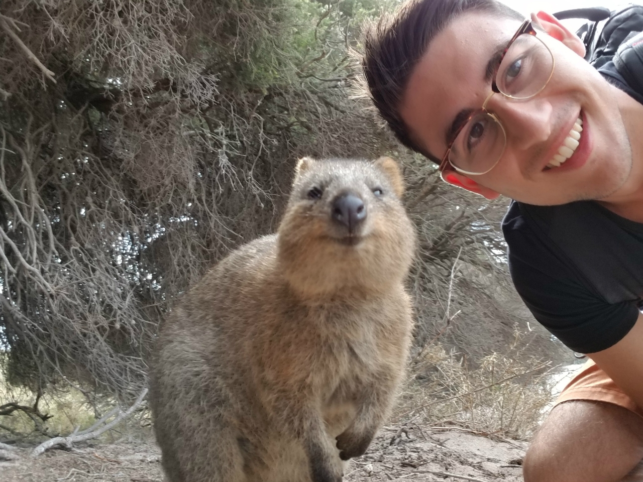 Me and this Wombat
