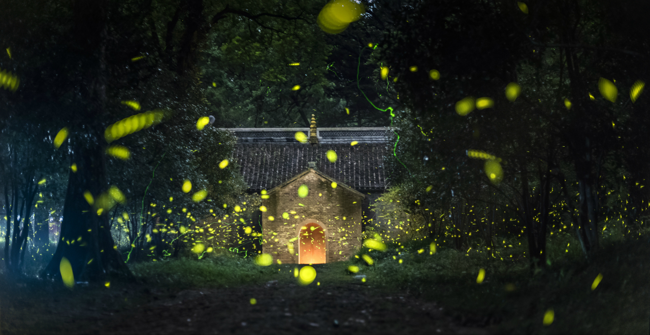 Fireflies at the Ancient Temple
