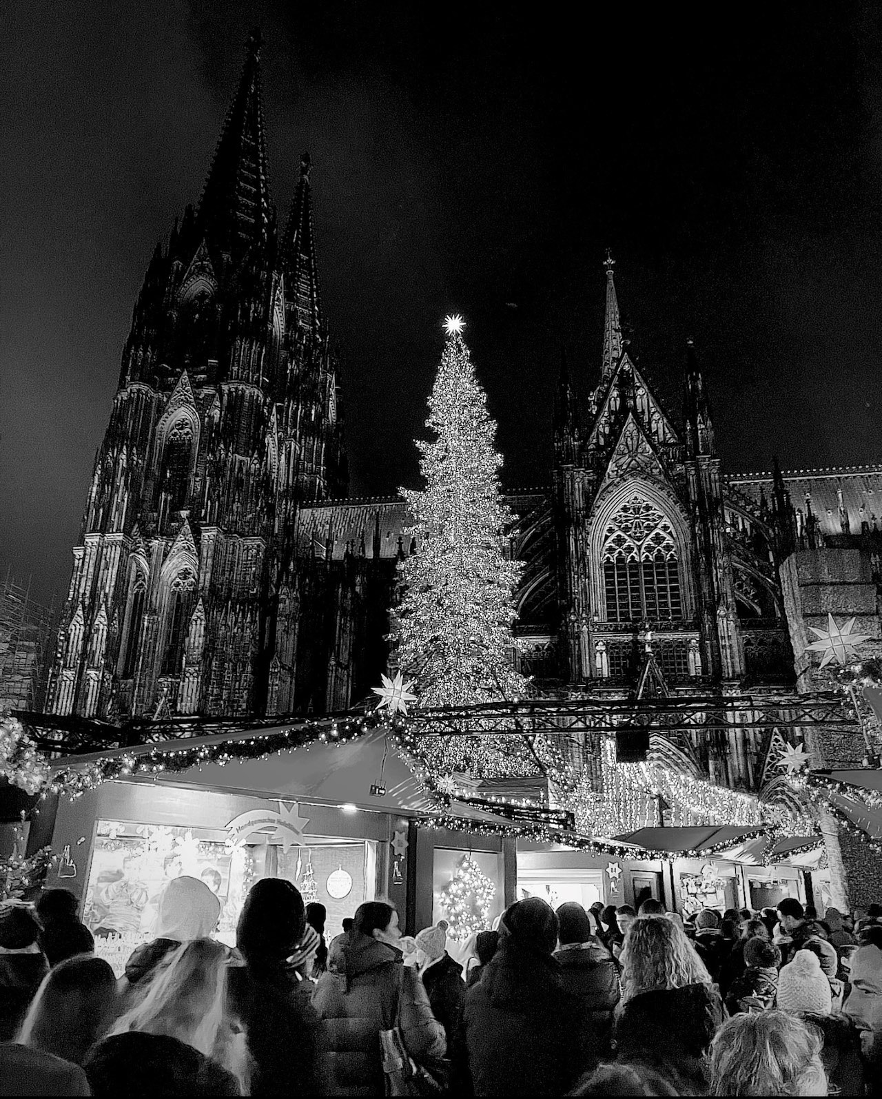Christmas Market Cologne by Andrew Stenzel