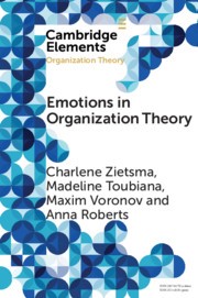 Book titled  Emotions in Organization Theory