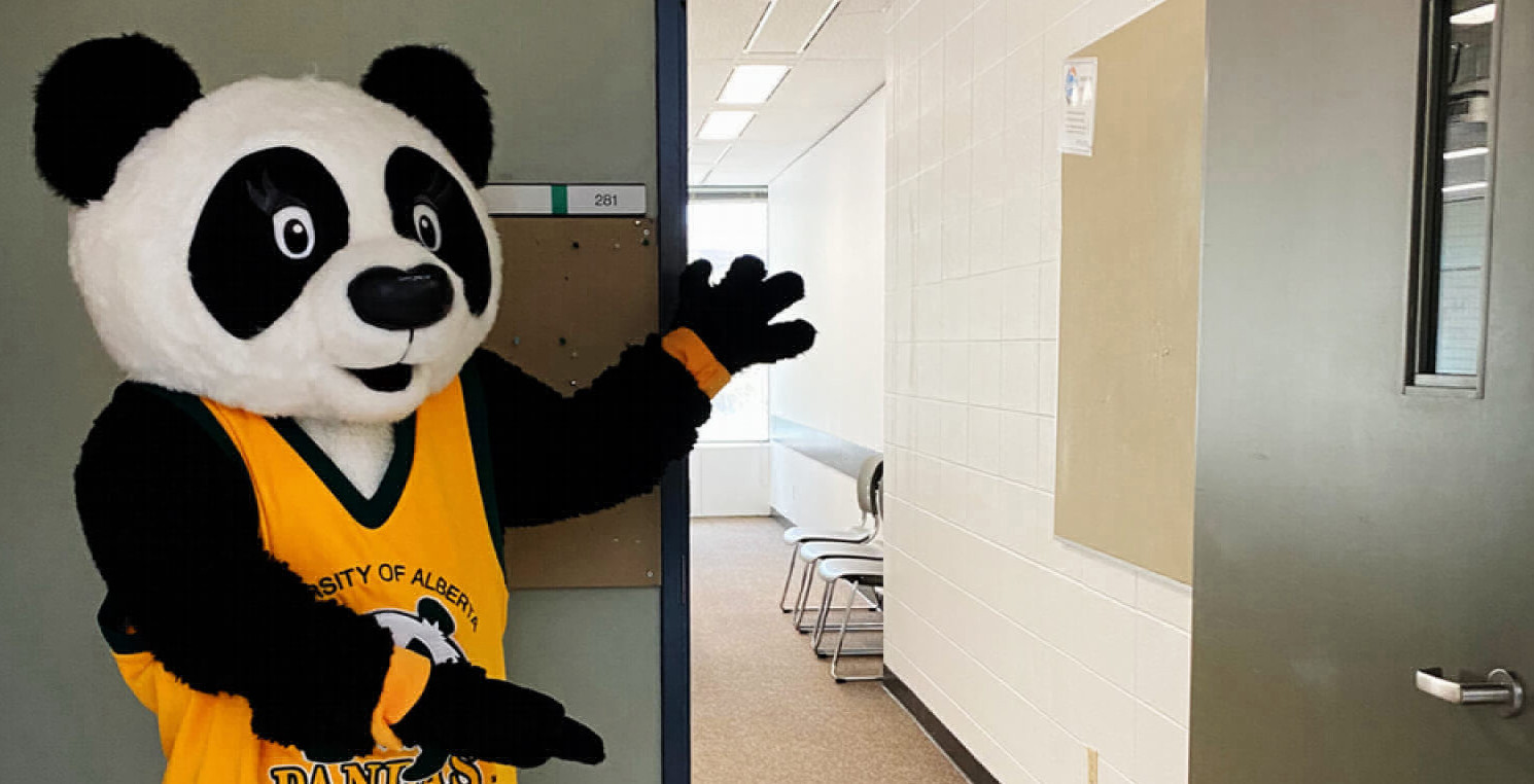Pandas Patches showing a classroom