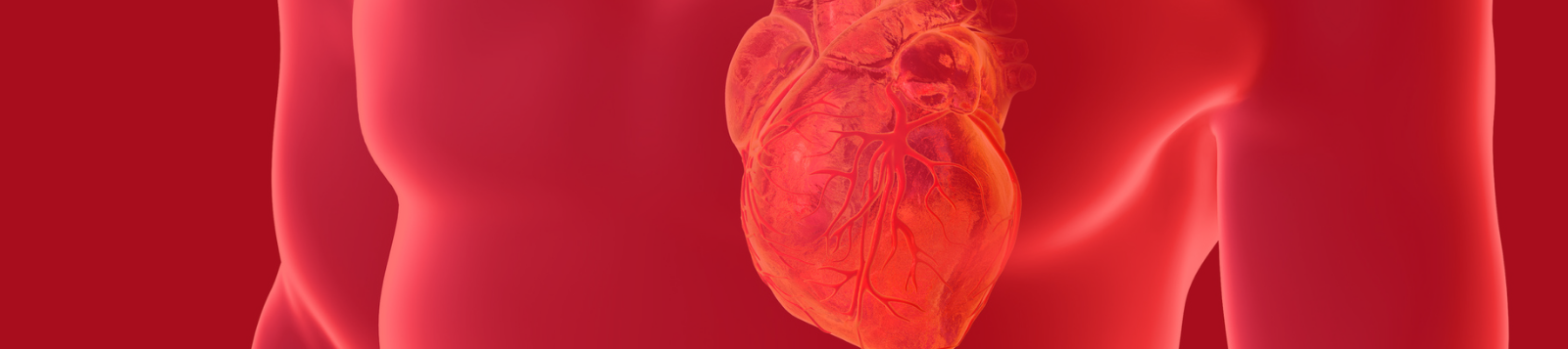 cardiology-banner-image-2.png