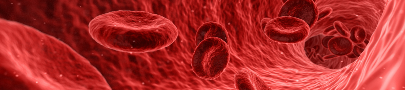 Picture of red blood cells.
