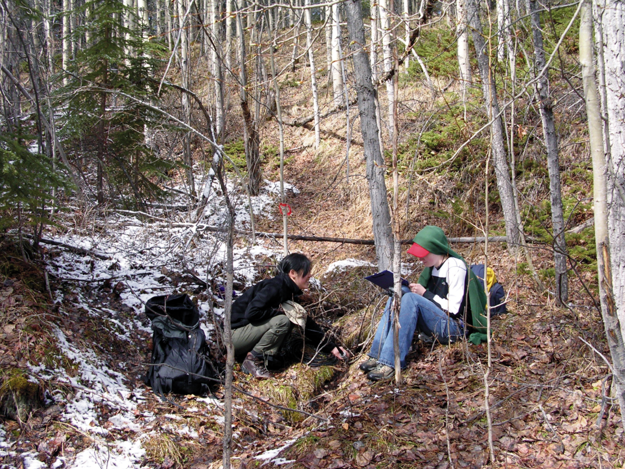 eas354_09.jpg